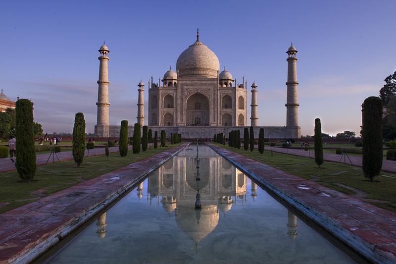 tree, tourism, taj, reflection, 5K, Monuments, built structure, India, outdoors, the past, history, building exterior, travel destinations, marble, the taj mahal