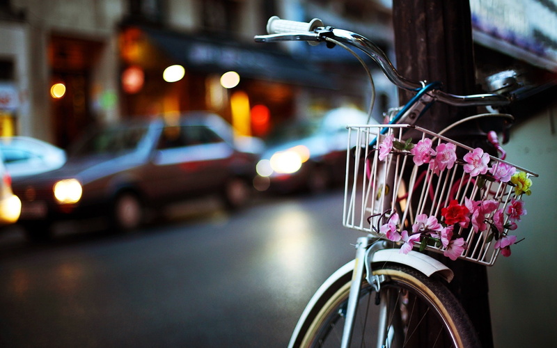 Night, black, 1080P, City, silver, Flowers, bicycle, Bike