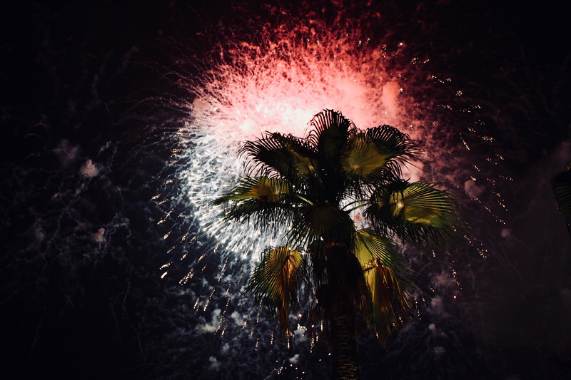 asium, palm, exploding, night, black Color, national day, national day parade, spark, firework Display, evening, party, fire - Natural Phenomenon, tropical Climate