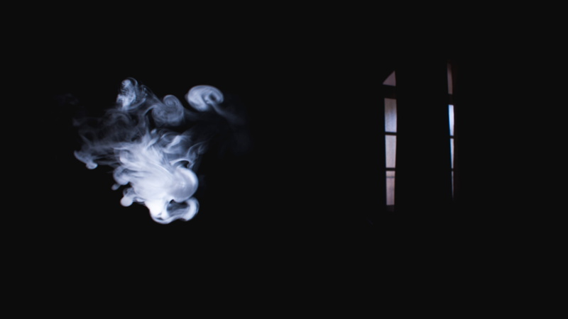 floating, water, fog, vapor, close-up, studio shot, animal, animal themes, copy space, smoke, dark, underwater, smoke - physical structure, window, sea