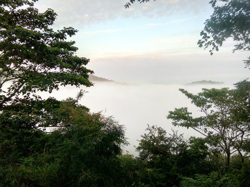 beauty In Nature, no People, non-urban scene, sky, outdoors, Vapor, Smoke, tree, plant, green color, tranquil scene, forest, reflection, summer, blue, cloudscape
