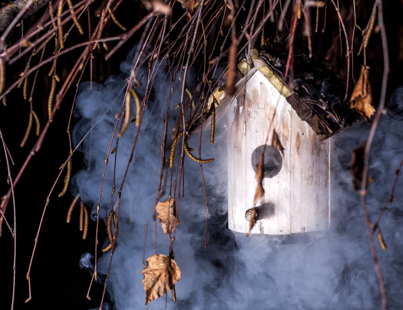 built structure, vapor, no people, animal themes, smoke - physical structure, e-cig, architecture, nature, animal, 4K, hanging, bird, dry, smoke, outdoors