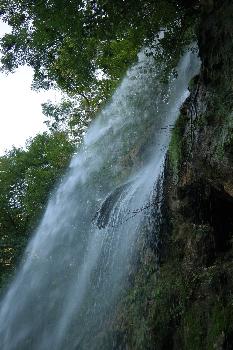 waterfall, outdoors, splashing, land, growth, drizzle, blurred motion, water, flowing, flowing water, swabian alb, forest, environment, tourist attraction