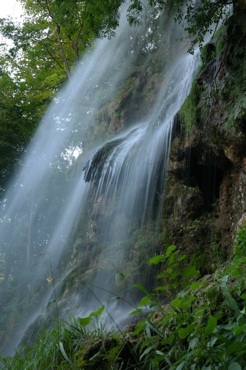 falling water, tourist attraction, day, growth, water, forest, mystical, water veil, environment, scenics - nature, outdoors, moss, long exposure, rainforest