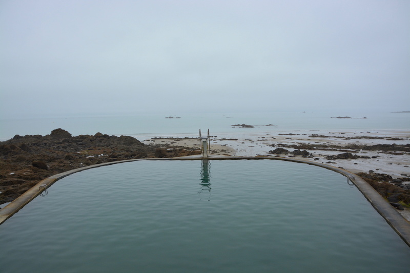 water, beauty in nature, animal, day, tourist, rock, non-urban scene, drizzle, waterfront, brittany saint quay portrieux, tranquil scene, nature, horizon