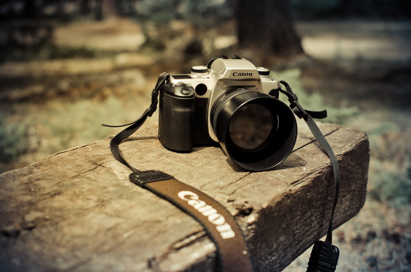 metal, lens - optical instrument, background, canon, camera, close-up, digital camera, focus on foreground, day, equipment, antique, field, land, Canon 50mm f1.4