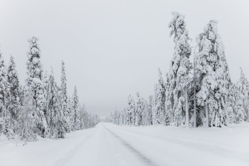 six, transportation, 5K, conifer, scenics - nature, plant, the way forward, pine, beauty in nature, diminishing perspective, covered, winter, extreme weather