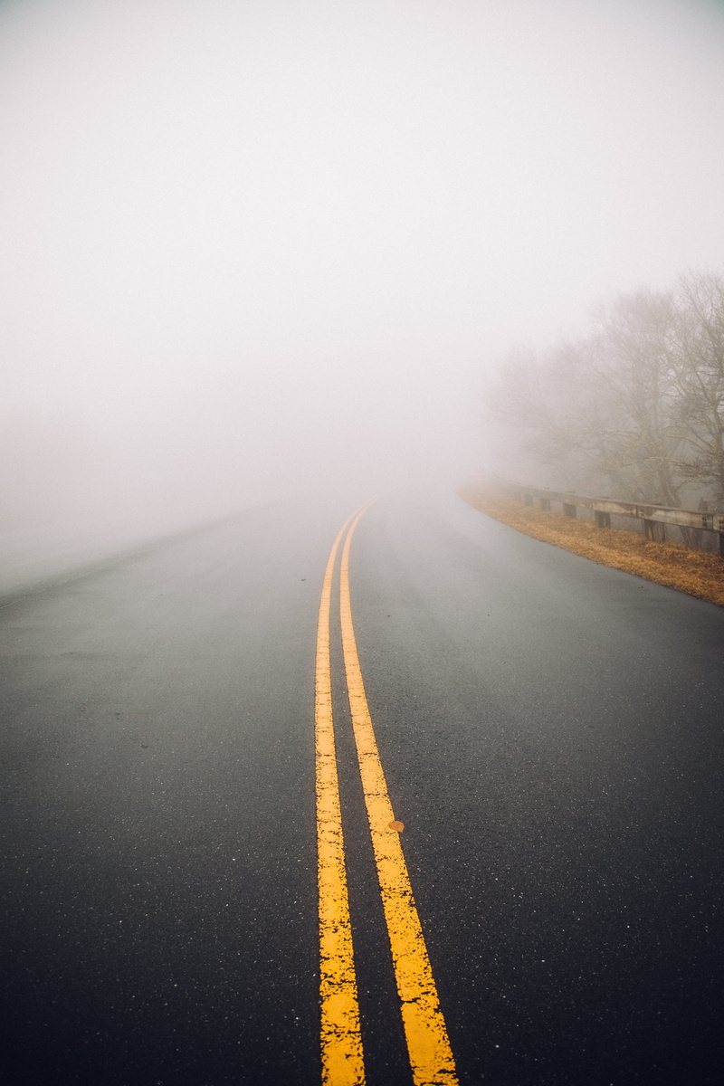 scenics, rain, forest, cloud - Sky, background, mystical, mist, travel, moody, highway, foggy, concrete, no People, wanderlust, country Road, mood, nature
