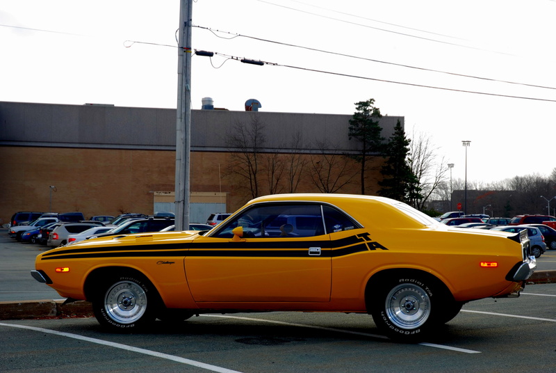 dodge, muscle, cars, classic, 4K, challenger, 1973