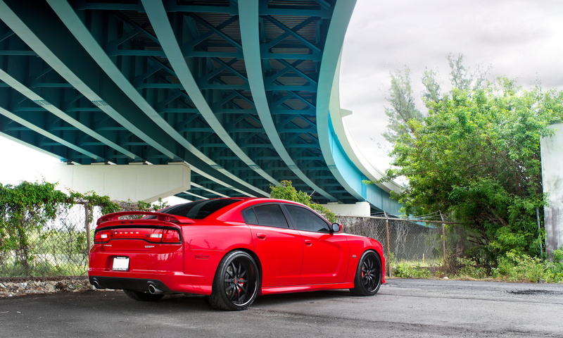 tree, editorial, 4K, srt8, traffic, highway, sky, mode of Transport, car, street, bridge, red, mode of transportation, outdoors, nature, speed, motor vehicle