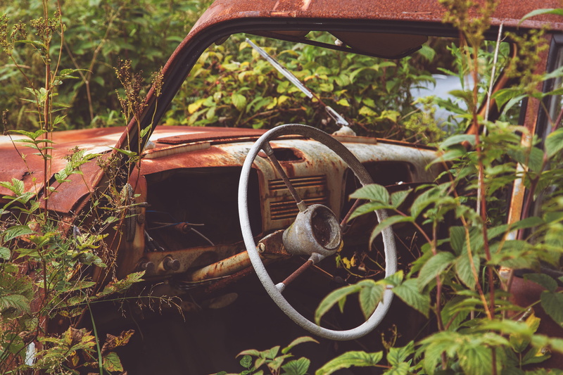 1950, growth, car, cemetery, transportation, broken, deterioration, car cemetery, fifties, classic car, old, windscreen, obsolete, steering wheel, old car
