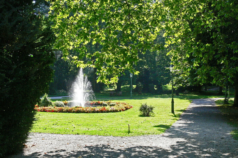 motion, bad reichenhall, maple leaves, tranquility, grass, water, nature, growth, outdoors, back light, flowers, spraying, Kurpark, park, trees, water feature