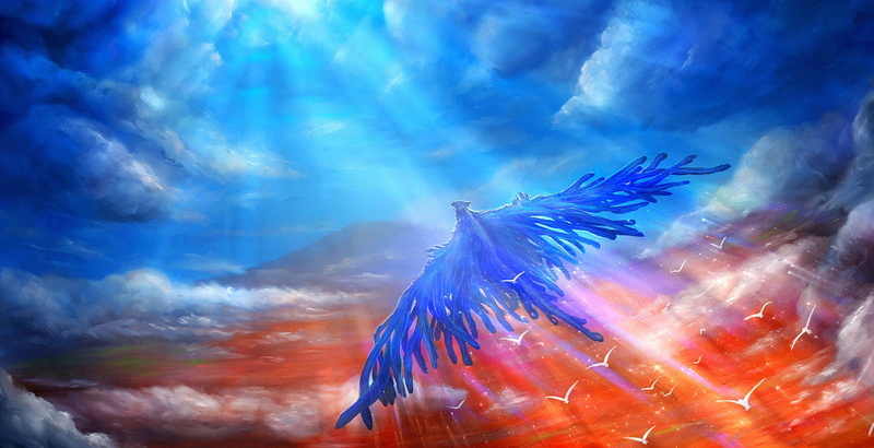 pasare, Freedom, 720P, wings, fantasy, blue, summer, luminos, era 7, orange, bird, sky, art