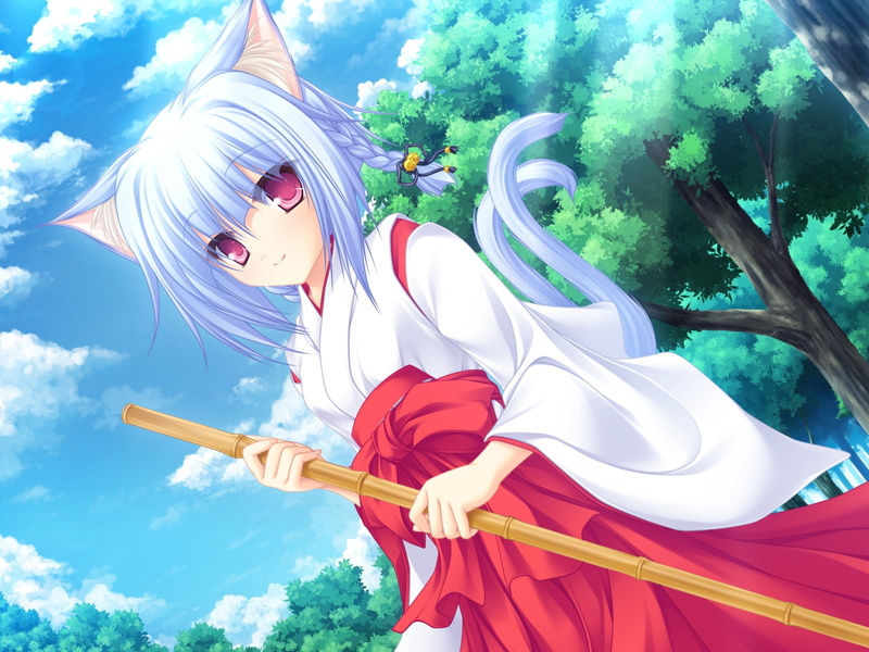 neko koi, white, beautiful, blue, day, computer Graphic, girl, ears, front view, female, tree, haired, illustration, kiryuu hina, fashion, plant, tail