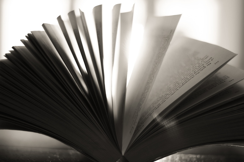 education, paper, text, literary, study, romantic, still life, 5K, no people, design, page, story, books, pattern, communication, bible, indoors, reading
