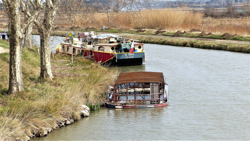 water, passenger craft, nature, tree, nautical vessel, no person, outdoor, channel, moored, sailing, travel, waterfront, france, peniche, river, non-urban scene