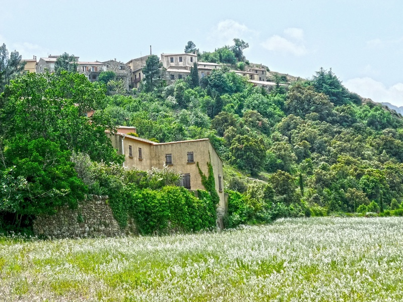 cucugnan, house, built structure, land, grass, sky, tree, green, day, cloud - sky, no people, building, architecture, village, mountainside, growth, languedoc roussillon