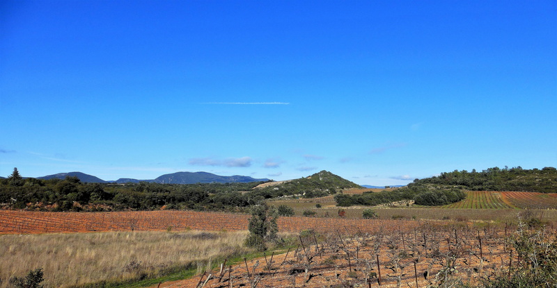 rural scene, aude, outdoor, mountain, clear sky, semi-arid, mountain range, vine, no people, france, arid climate, nature, sky, blue, environment, tranquility