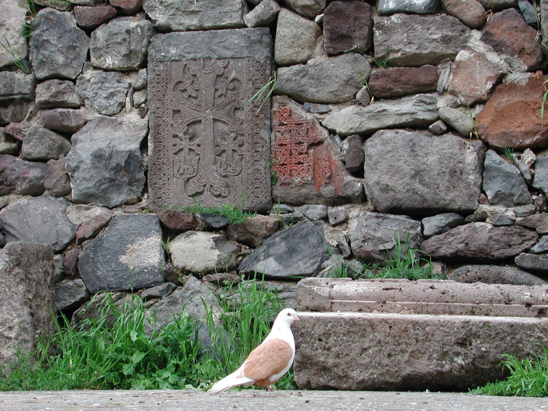 history, stone wall, katschberg kar, 1080P, stone - object, one animal, built structure, day, no people, Peace Dove, caucasus, building exterior, stone material