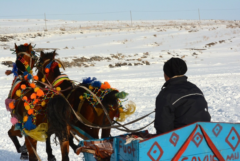 table, pictures, one person, domestic animals, winter, warm clothing, the horses are, rear view, ice, snow, men, domestic, real people, livestock, horse-drawn carriage