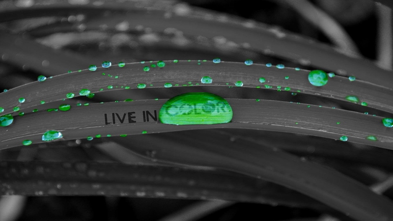 motion, water drops, communication, full frame, security, single object, no people, indoors, color, selective coloring, water, close-up, selective focus