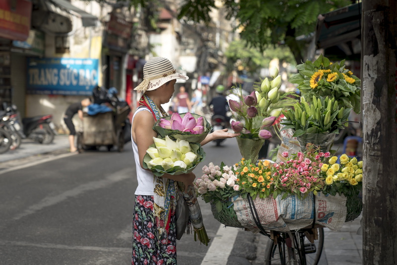 sale, the street, people, real people, lifestyles, adult, tropical, freshness, market, flower, old, supplier, cultural, the city, life, hanoi, bouquet