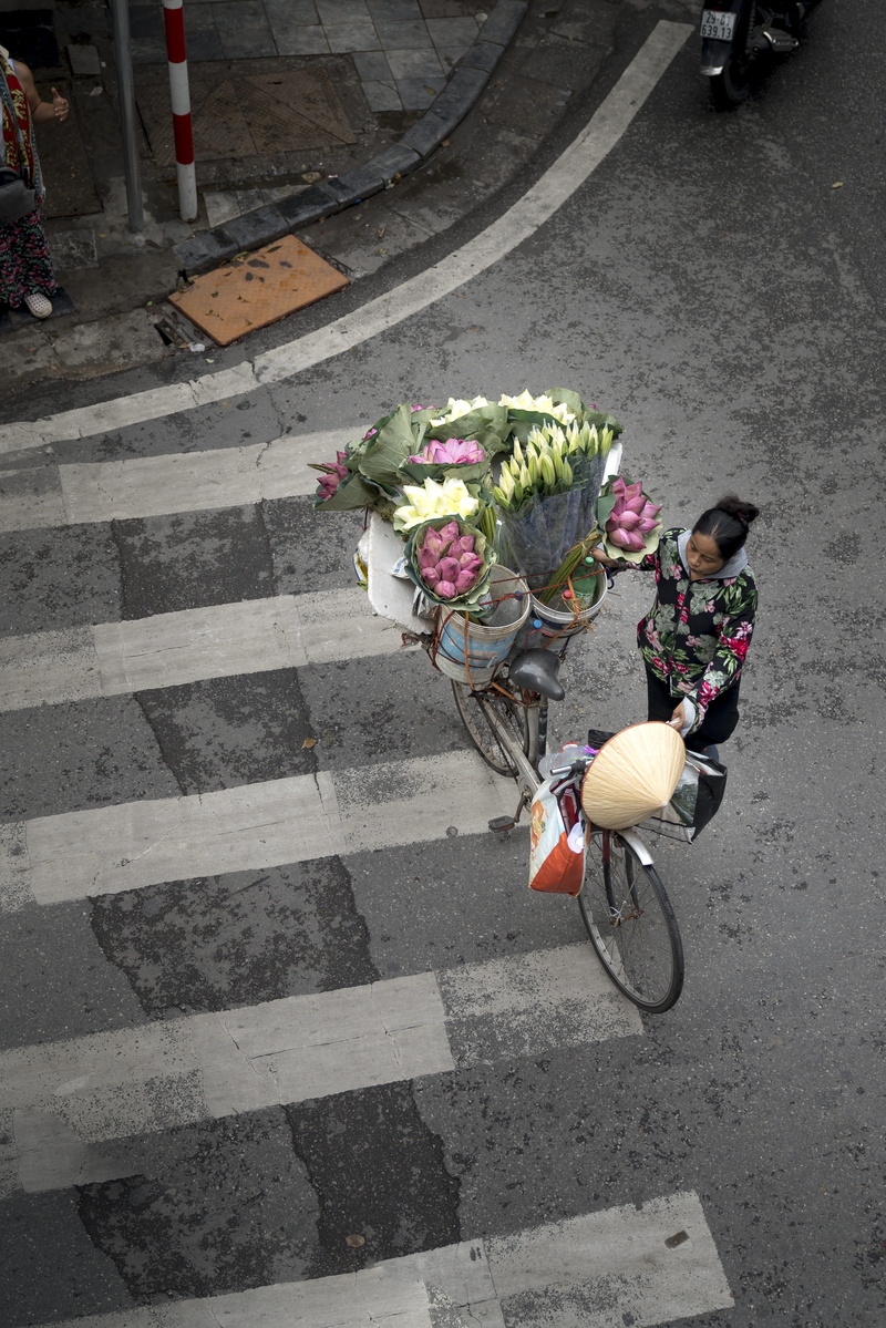 fair, flower, transportation, vietnam, people, full color, supplier, women, sign, day, old, road marking, urban, the city, florist, flowering plant, marking