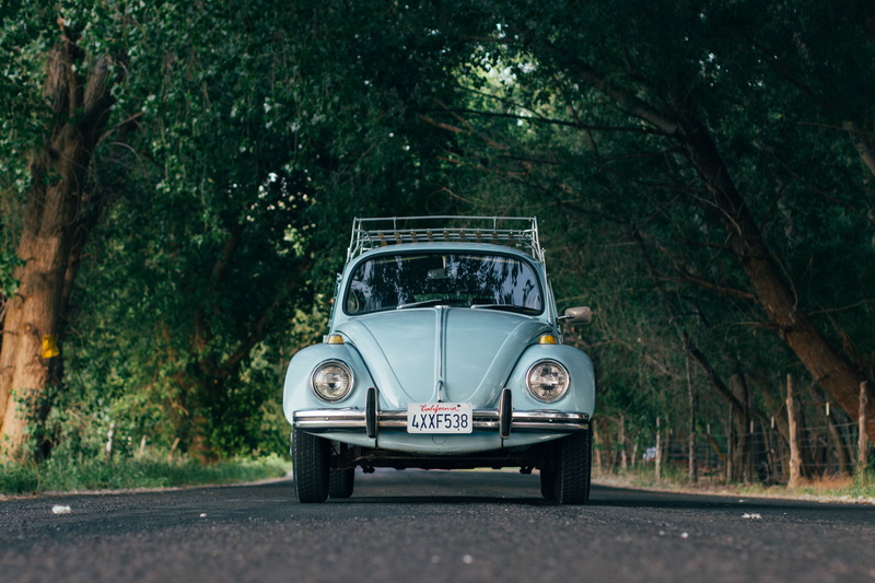 4K, trees, Volkswagen Beetle, road, California, Volkswagen