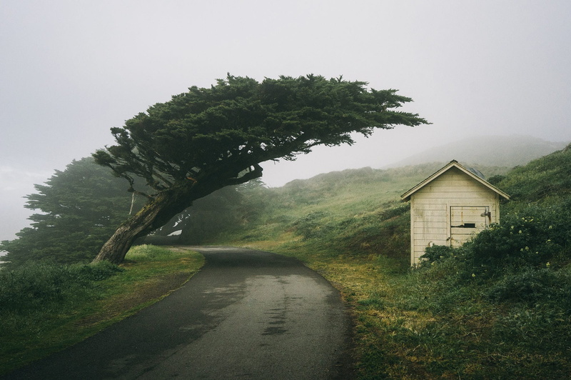 house, direction, beauty in nature, landscape, trees, growth, fog, transportation, diminishing perspective, California, grass, built structure, day, architecture