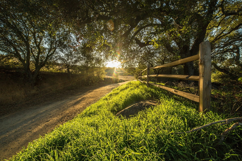 fence, trees, rancho, santa, 1080P, rosa, California, USA, sun rays, Rancho Santa Rosa, road