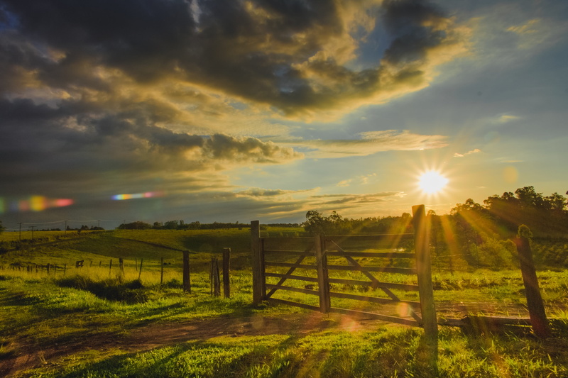 tranquil scene, widescreen, land, sol, cloud, blue, day, lens flare, landscape, green, sunset, fence, dawn, lawn, nature, morning, leaves, plantation, tranquility