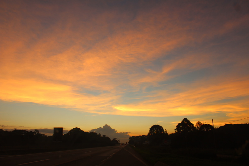 environment, nature, transportation, outdoors, vista, end of afternoon, no people, silhouette, plant, the way forward, tranquility, scenics - nature, eventide
