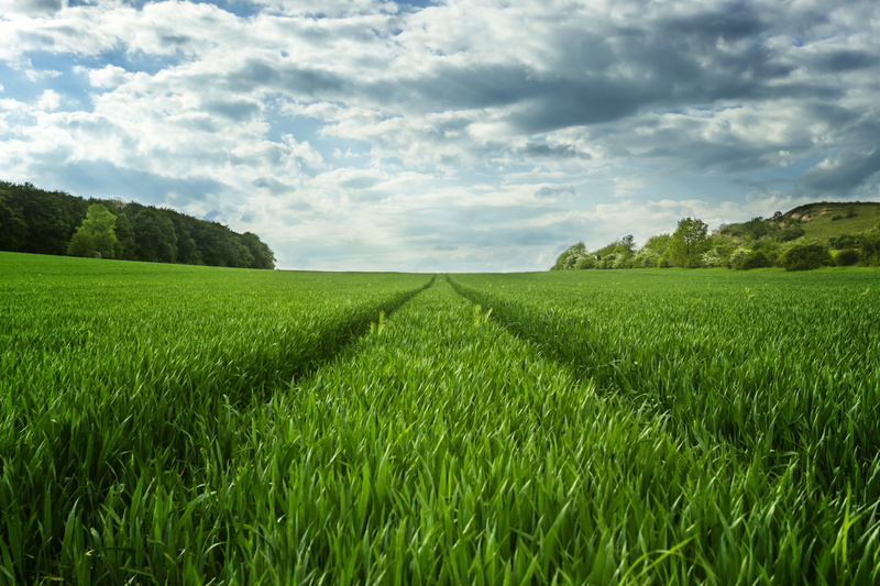 fields, weg, dramatic, Harz, field, weizen, green fields, cloud - Sky, rural Scene, felder, Germany, blue, acker, Canon  6D, land, Horizont, Himmel, summer
