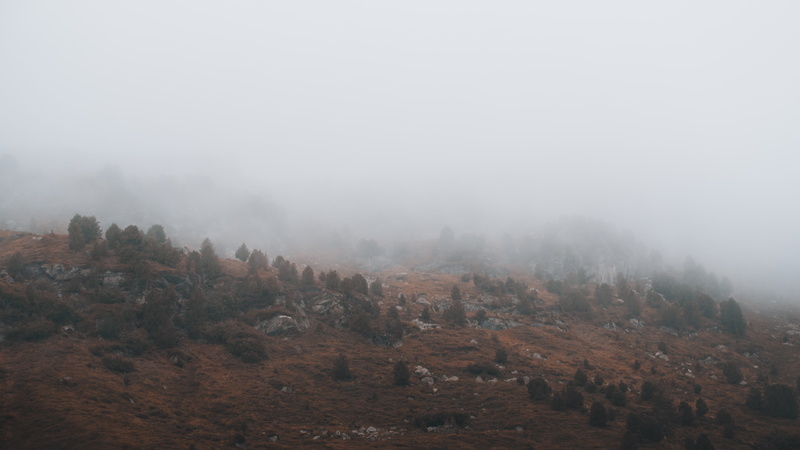 non-urban scene, cliff, coniferous tree, landscape, tranquil scene, no people, forest, pine tree, sky, daytime, hillside, 5K, forest path, outdoors, tree