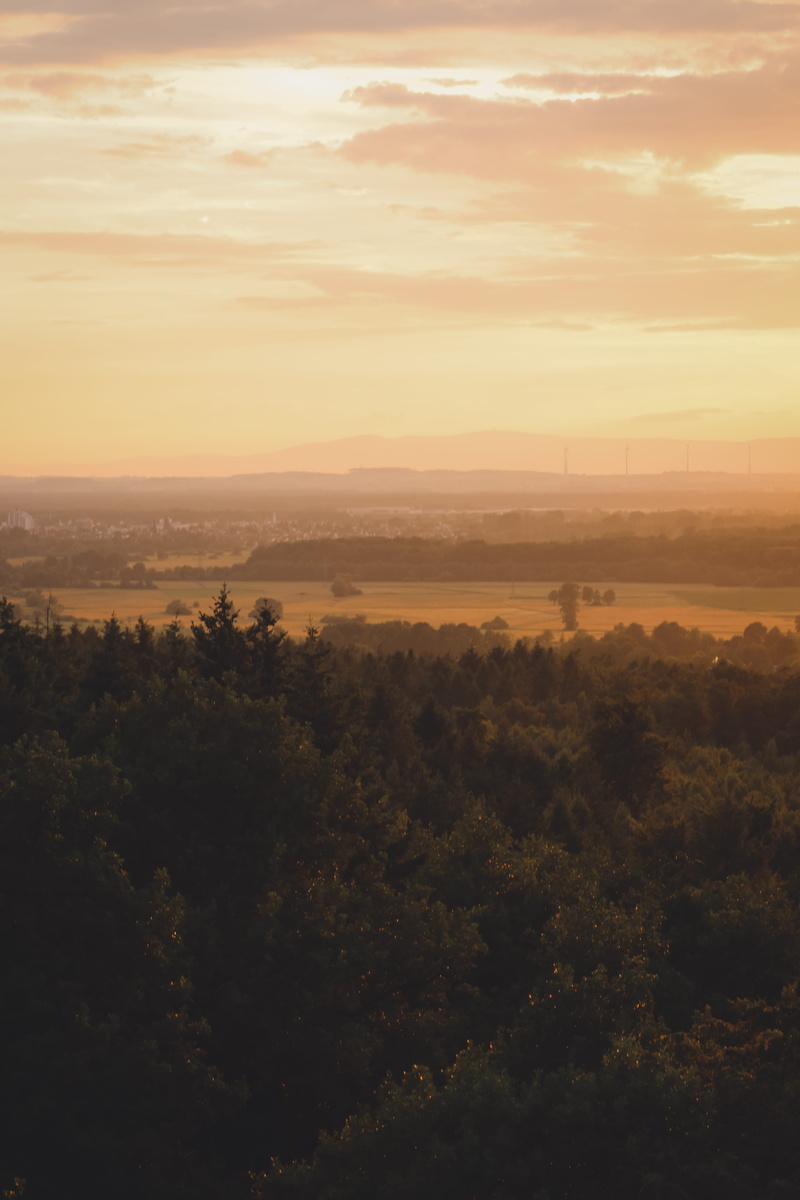 orange color, tranquility, sky, beauty in nature, green color, sunset, growth, non-urban scene, tranquil scene, hessen, nature, environment, tree, plant