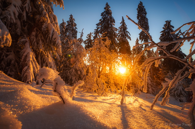 season, wald, sony  a7r, snow, hessen, landscape, sunlight, white, National  Geographic, Baum, schnee, Sunset, globetrotter, outdoors, trees, 1080P, Travel  Photography