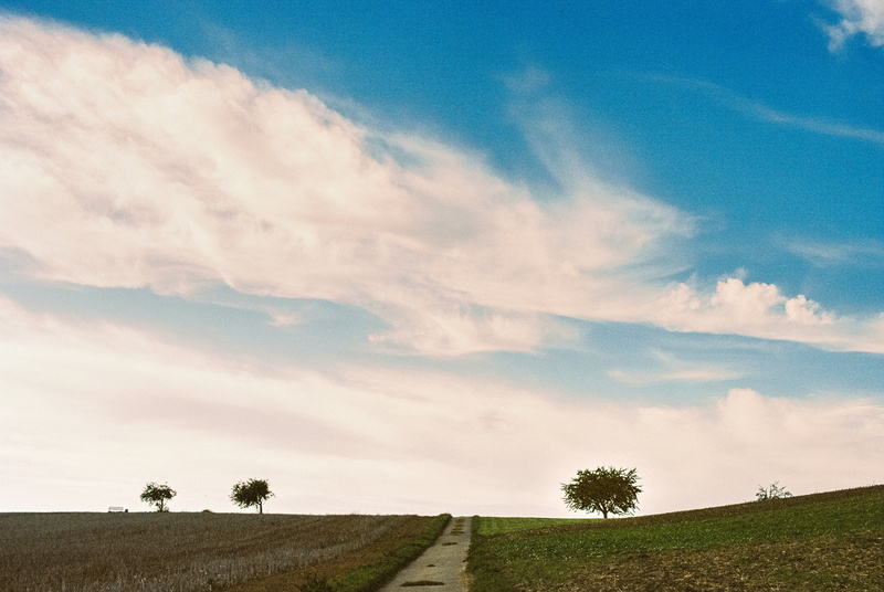 leaf, Bäume, landscape, Himmel, CR7, daytime, green leaf, Reflex, trees, Wolken, 5K, nature, Kodak Portra, Color, clear, green, sky, meadow, cloud - Sky
