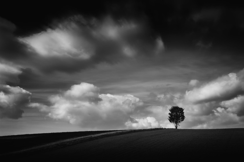 sky, no People, thunder, outdoors, black And White, tree, canon, schwarzweiss, nature, himmel, black, dark, 720P, büdingen, monochrome, natur, thunderstorm