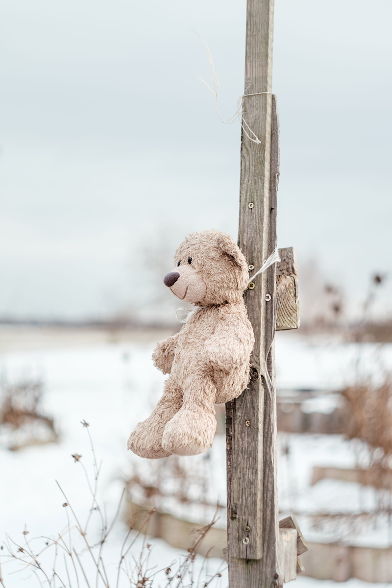 berlin, no people, tree, tempelhofer feld, wildlife, children, sad, wooden post, animal, toy, outdoors, mammal, stuffed bear, 4K, children toy, abandoned