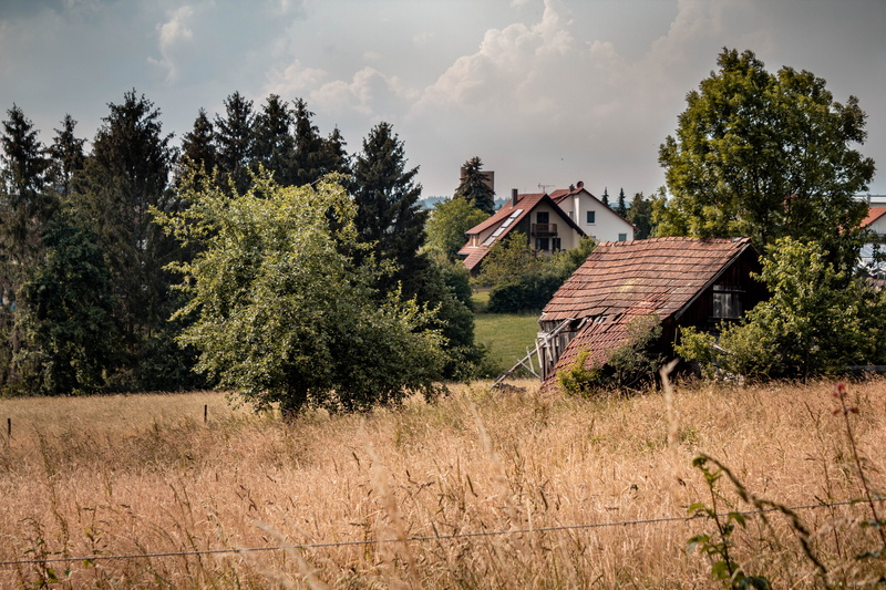 agricultural building, green, holz, plant, forest, yellow, scenics - nature, gras, houses, built structure, weizen, grass, growth, landscape, architecture