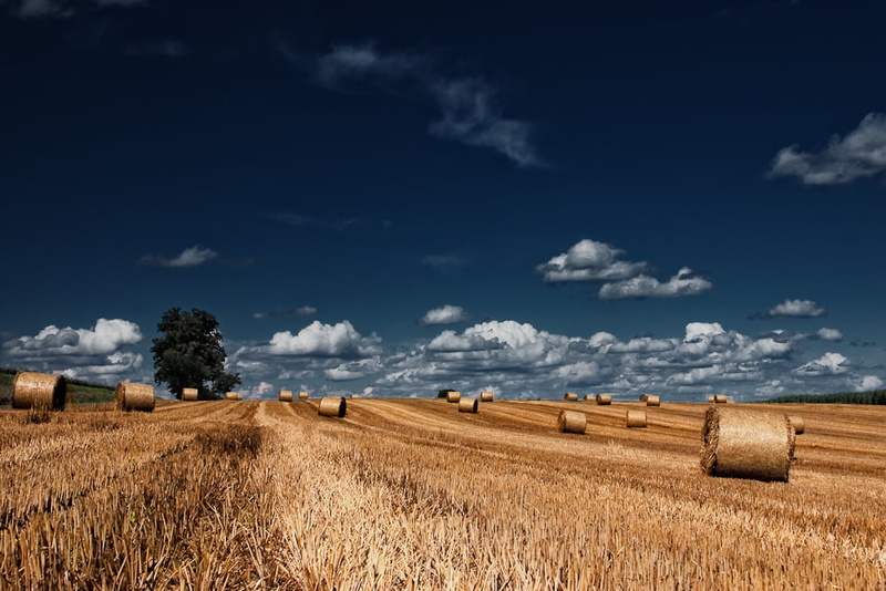wheat, landscaped, haystacks, meadow, summer, growth, landscape, cereal Plant, alsace, yellow, land, Stubble, nature, elsass, 480P, rice, blue, top, field
