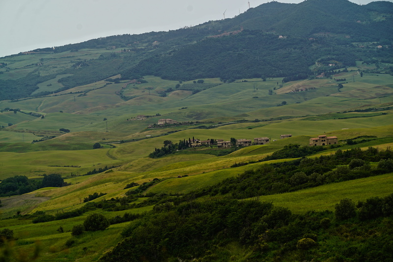 environment, idyllic, plant, tranquility, green color, landscape, nature, non-urban scene, beauty in nature, tree, land, day, tuscany, agriculture, rolling landscape