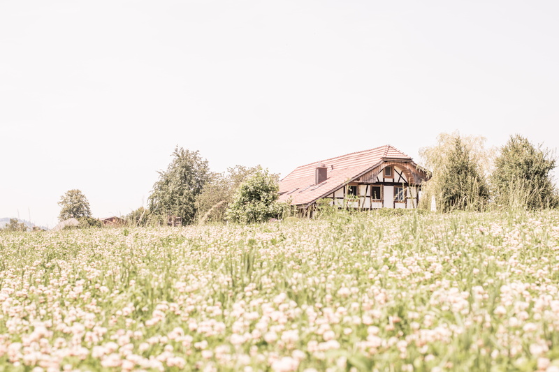 sky, architecture, plant, homepage, feld, agricultural building, day, corn, cottage, haus, copy space, europe, tree, no people, jakobsweg, bauernhaus, residential district
