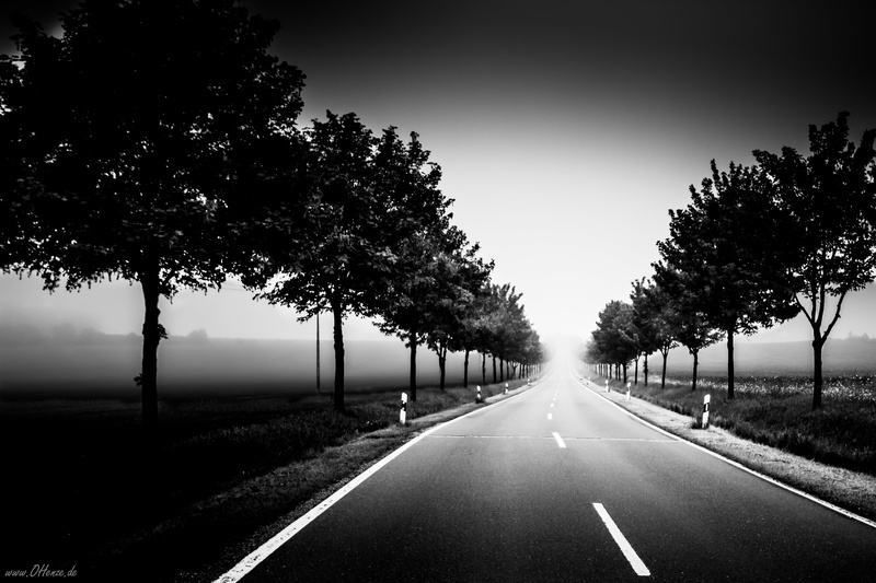 Weg, SW, outdoors, photography, Sachsen-Anhalt, way, KW, Black  White, BW, road, grayscale, 4K, Der, tree, Canon  EOS, Schwarz  Weiss, black And White