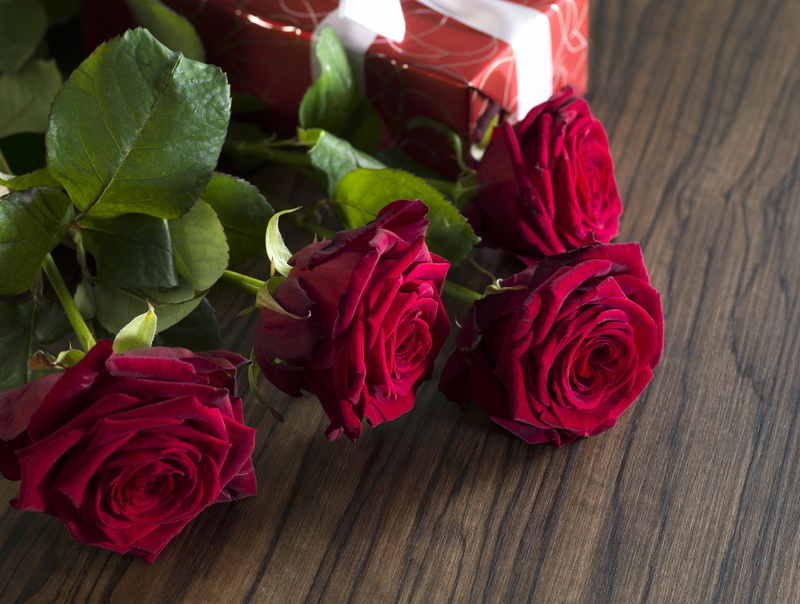 romantic, roses, red, valentine`s day, gift, red roses, love, 5K