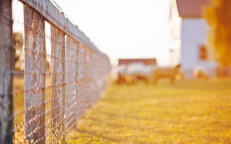 fence, 1080P, tence, widescreen, leaves, Nature, grass, day, sun, background, fencing, trees, tree, s, house, Macro, fullscreen