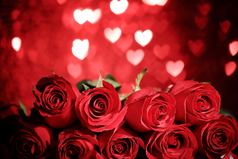 valentine`s day, gift, romantic, heart, 5K, red roses, flowers, red, roses, love