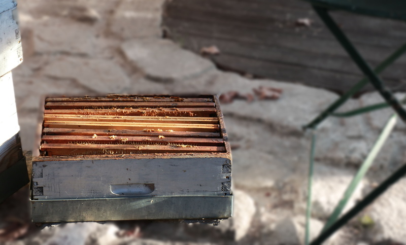 rusty, close-up, day, wax, stack, metal, run-down, sunlight, wood - material, old, cell, still life, focus on foreground, high angle view, beekeeper, deterioration