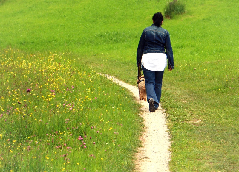 walking, green color, nature, adult, 1080P, real people, outdoors, growth, full length, one person, leisure activity, person, footpath, beauty in nature