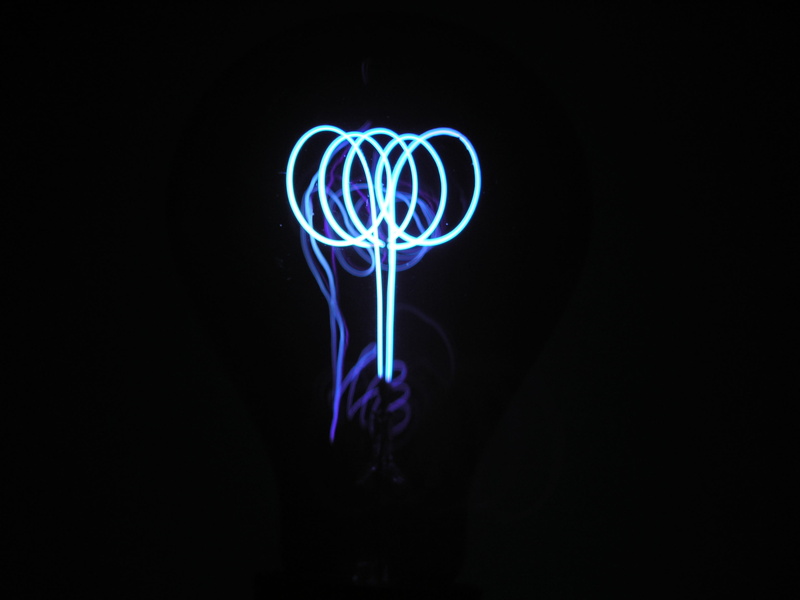 animal themes, Lamp, lighting equipment, immediately, one animal, light source, jellyfish, neon, dark, glowing, Disappearing, full length, glow lamp, sea